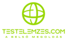 Testelemzés